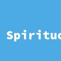 Spirituosen