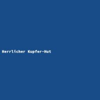 Herrlicher Kupfer-Hut