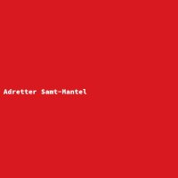Adretter Samt-Mantel