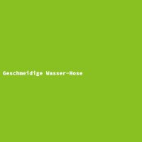 Geschmeidige Wasser-Hose