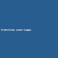 Praktische Leder-Lampe