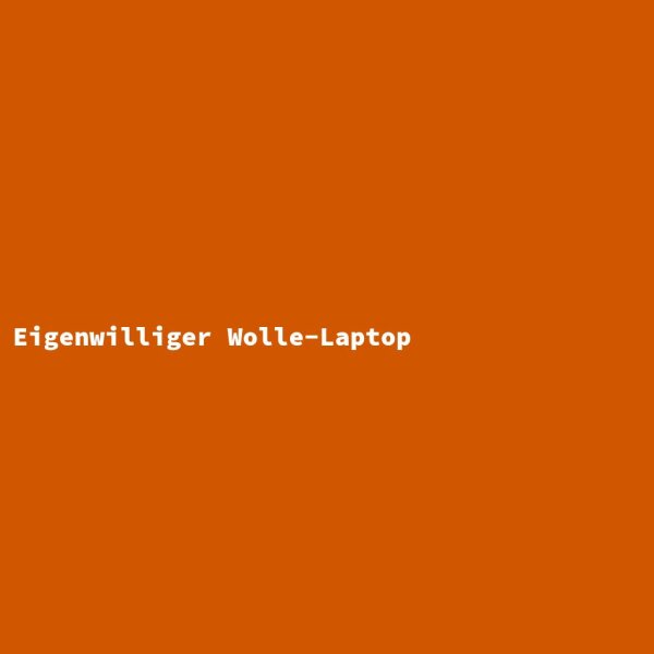 Eigenwilliger Wolle-Laptop