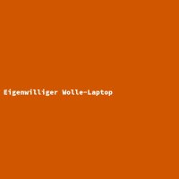 Eigenwilliger Wolle-Laptop