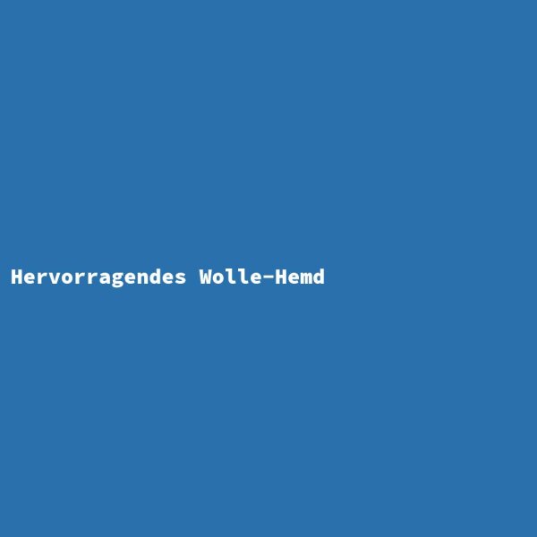Hervorragendes Wolle-Hemd